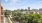 Uptown Dallas Views