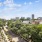 Uptown Dallas Views